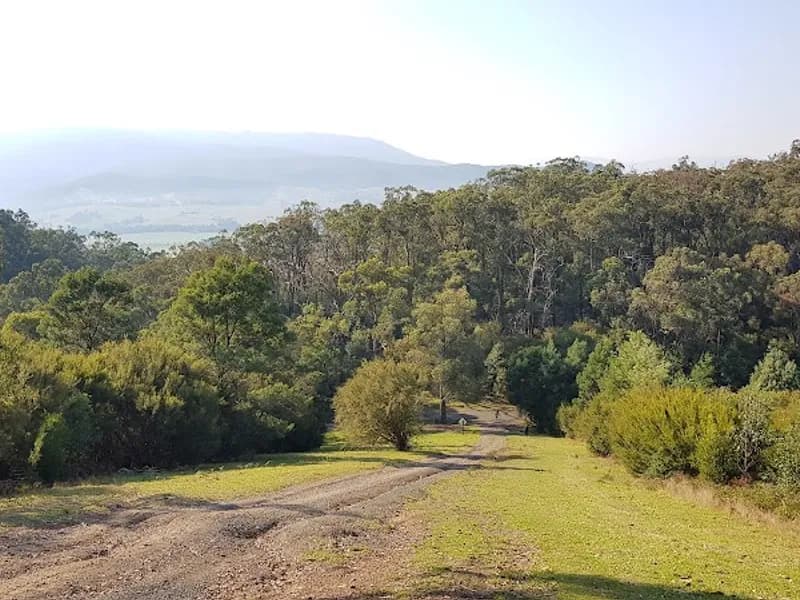 Yarra Yering winery in Gruyere, VIC