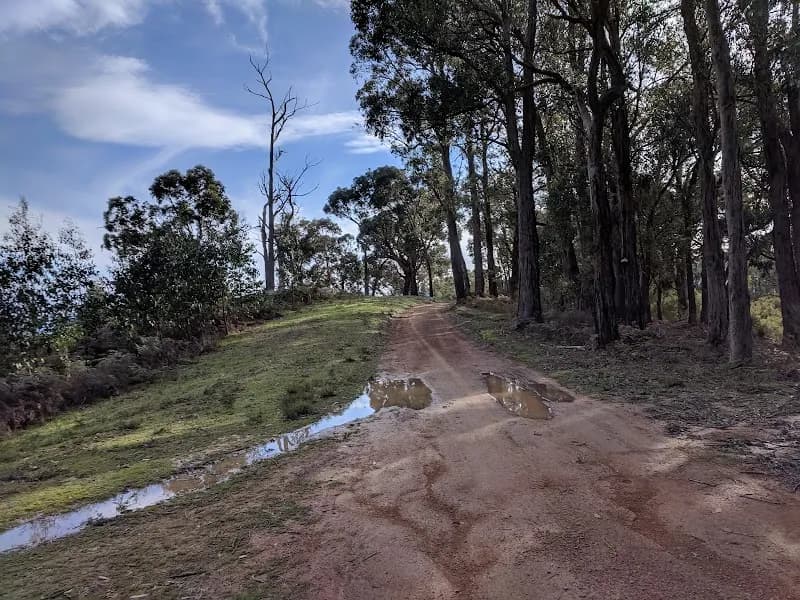 Yarra Yering winery in Gruyere, VIC