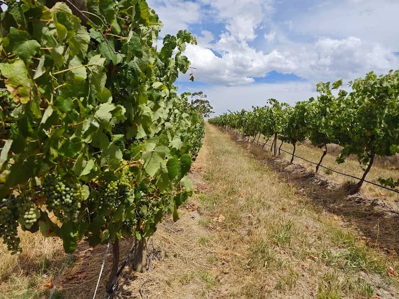 Mount Mary winery in Lilydale, VIC