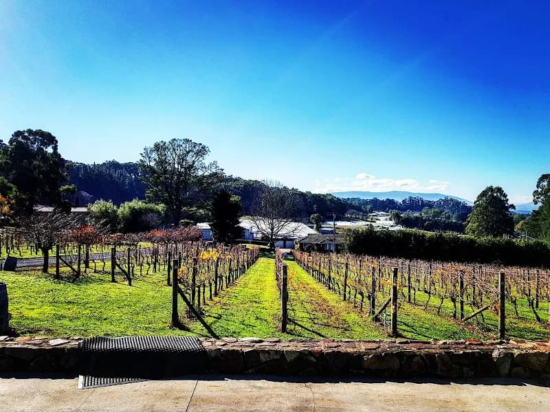 Chandon Australia winery in Coldstream, VIC