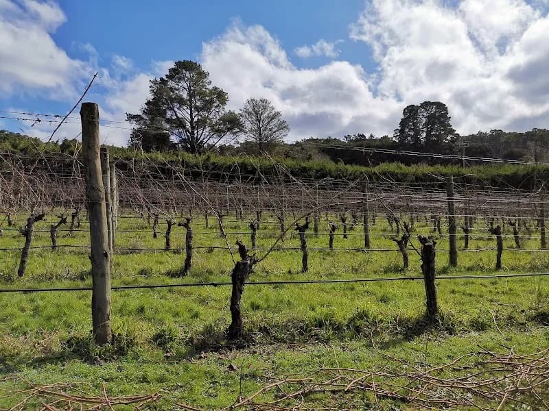 Chandon Australia winery in Coldstream, VIC