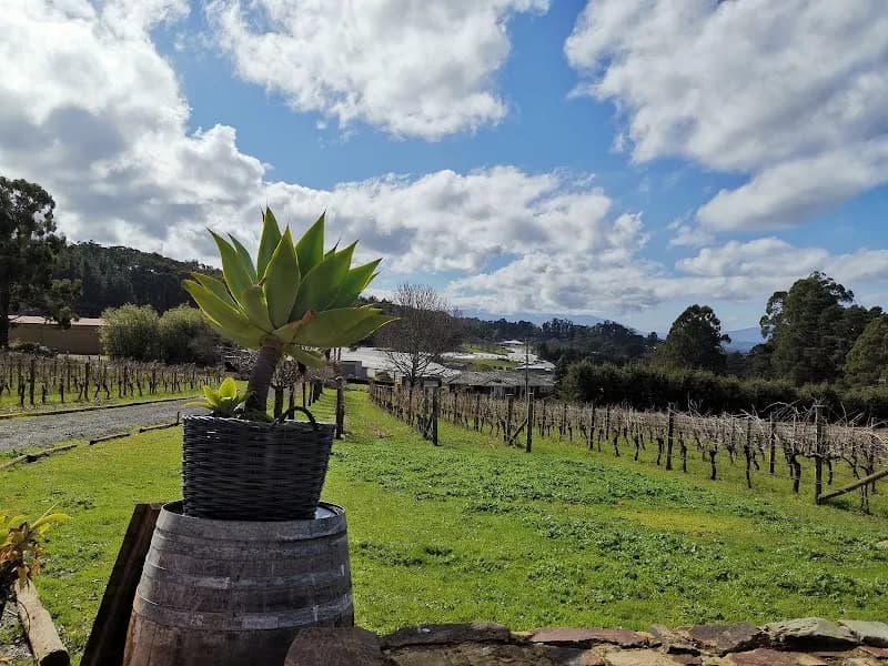 Chandon Australia winery in Coldstream, VIC