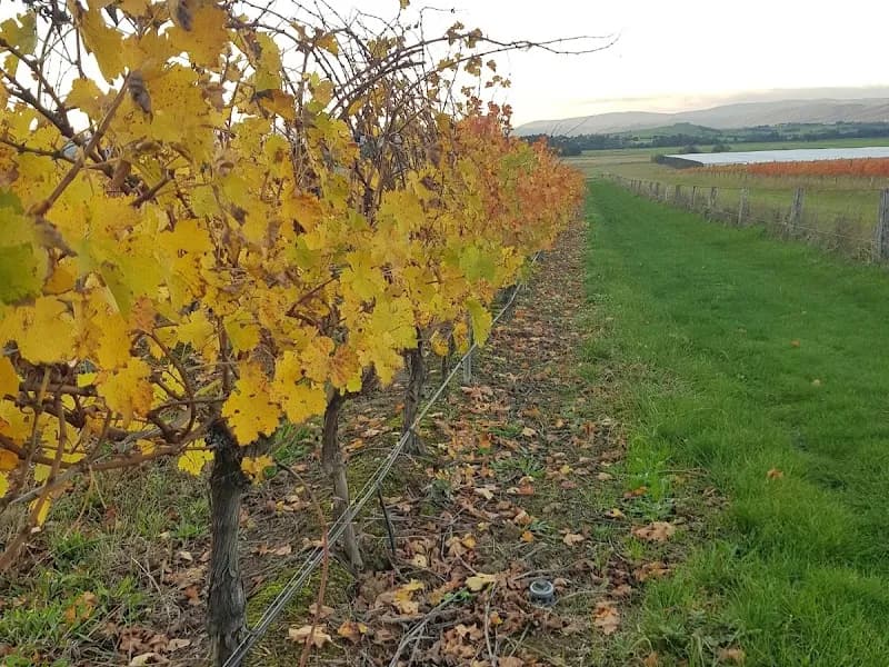 De Bortoli winery in Dixons Creek, VIC