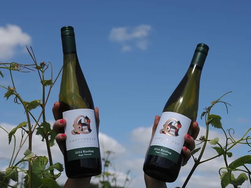 De Bortoli winery in Dixons Creek, VIC