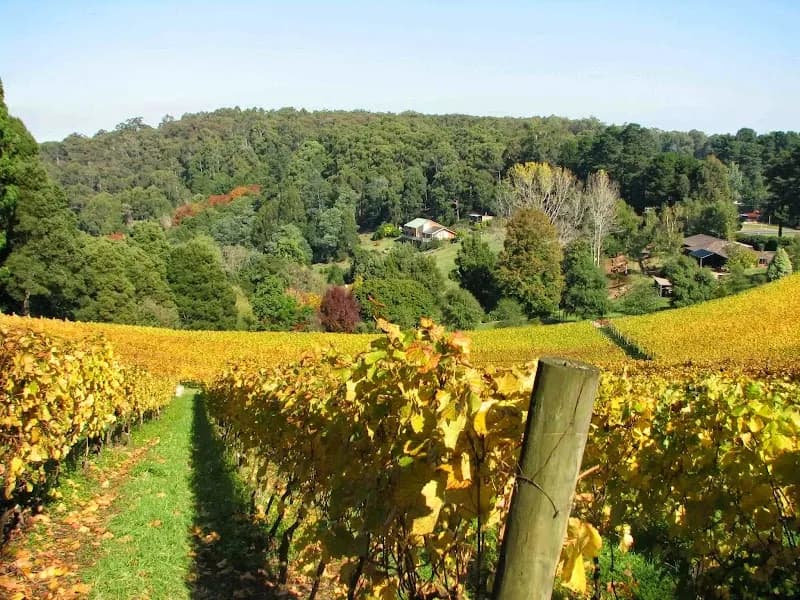 Toolangi winery in Coldstream, VIC