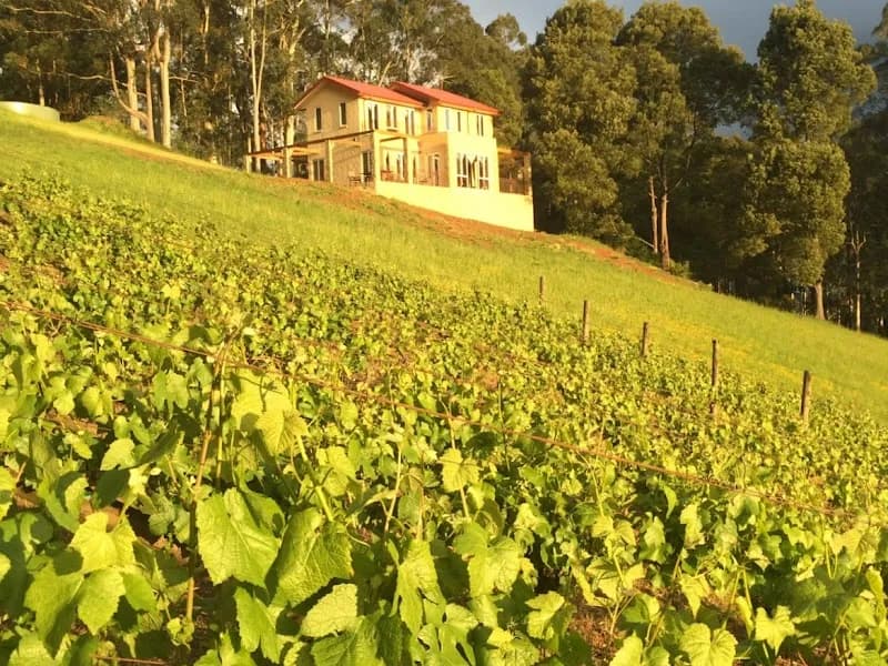 Toolangi winery in Coldstream, VIC