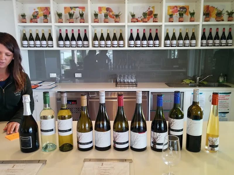 Punch winery in St Andrews, VIC