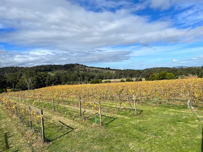 Rob Dolan Wines winery in South Warrandyte, VIC