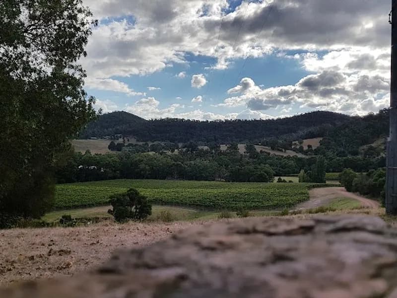 Squitchy Lane Vineyard winery in Gruyere, VIC