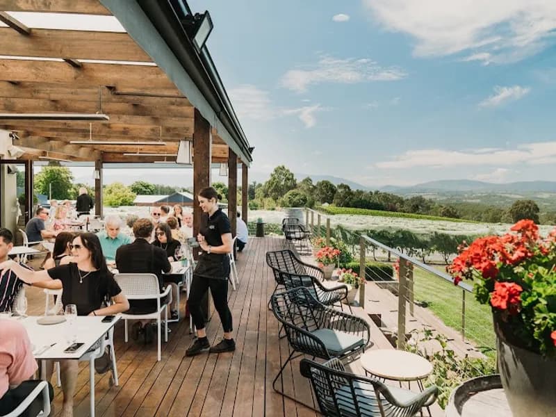 Yarrabank winery in Yering, VIC