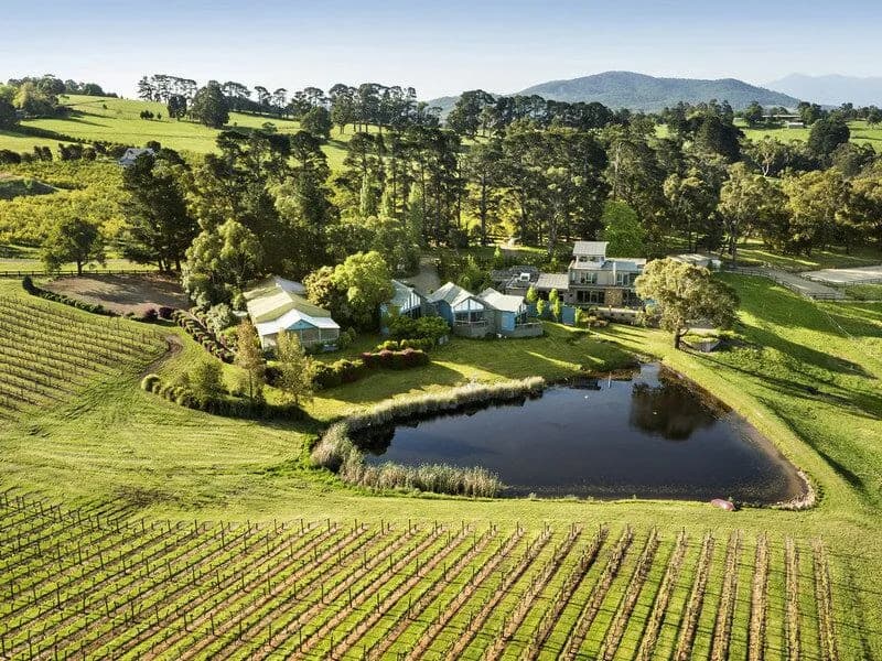 Warramate winery in Gruyere, VIC