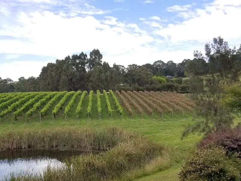 Warramate winery in Gruyere, VIC
