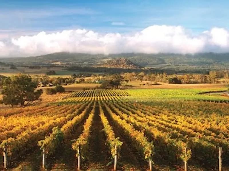 Hanging Rock Winery winery in Newham, VIC