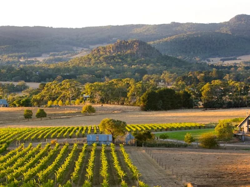 Hanging Rock Winery winery in Newham, VIC