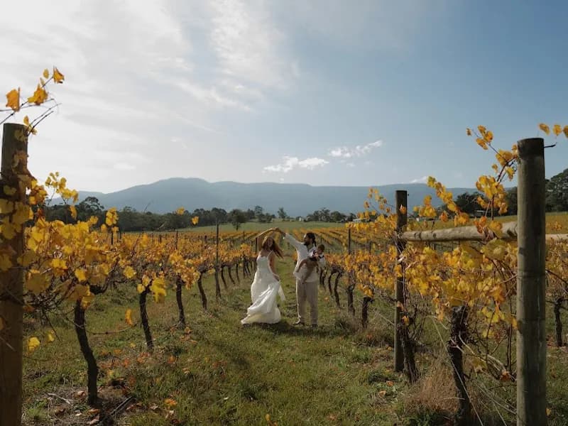 Petronio winery in Yering, VIC