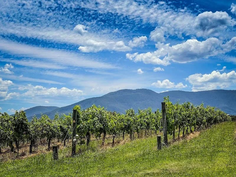 Petronio winery in Yering, VIC