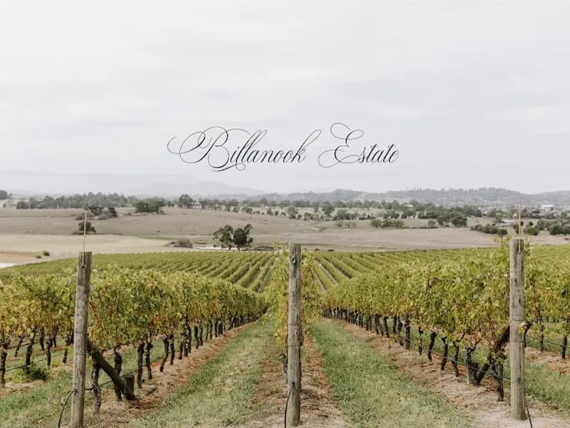 Healesville Wine Co winery in Healesville, VIC