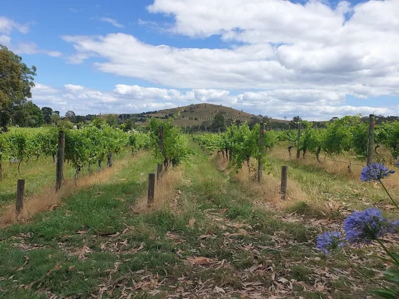 Killara Estate winery in Seville East, VIC
