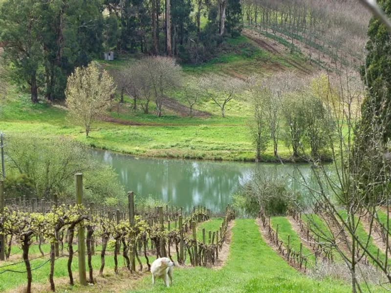 Monbulk Winery