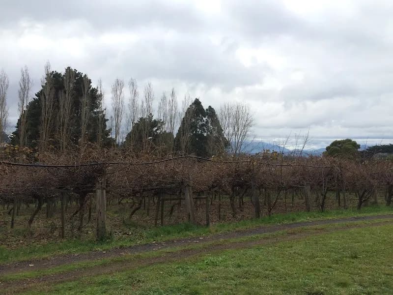 Stuart Wines winery in Gruyere, VIC