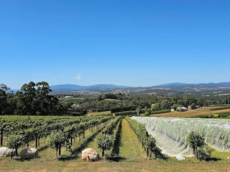Sutherland Estate winery in Dixons Creek, VIC