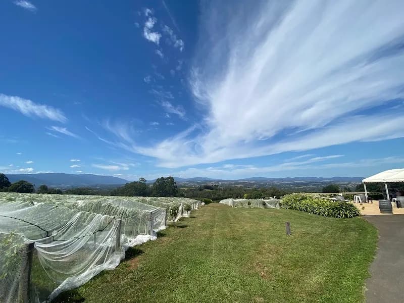 Sutherland Estate winery in Dixons Creek, VIC