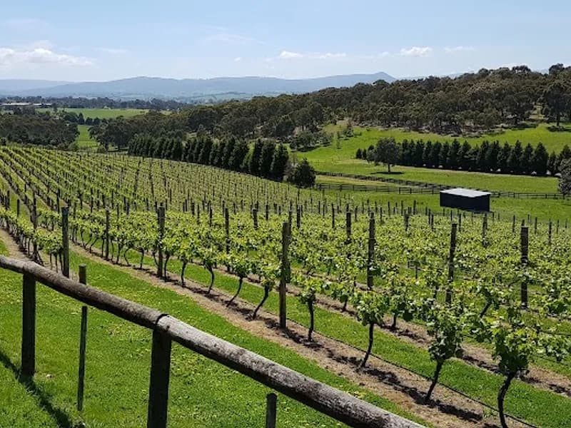 Dawson's Patch winery in The Patch, VIC