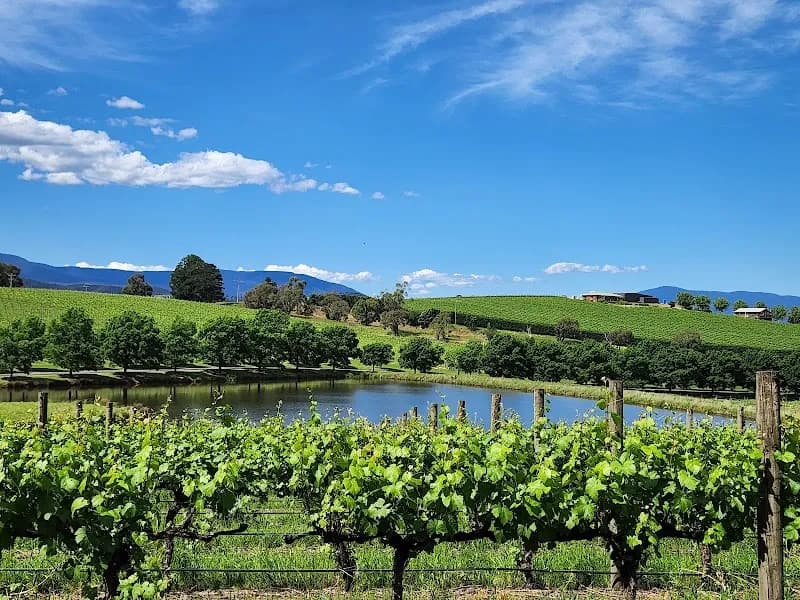 Bianchet winery in Lilydale, VIC