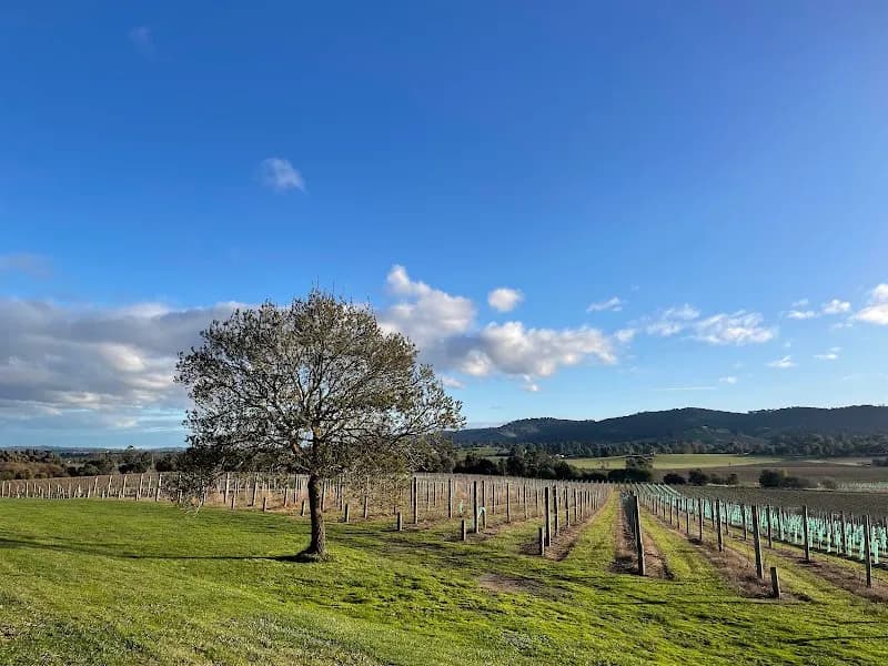 Bianchet winery in Lilydale, VIC