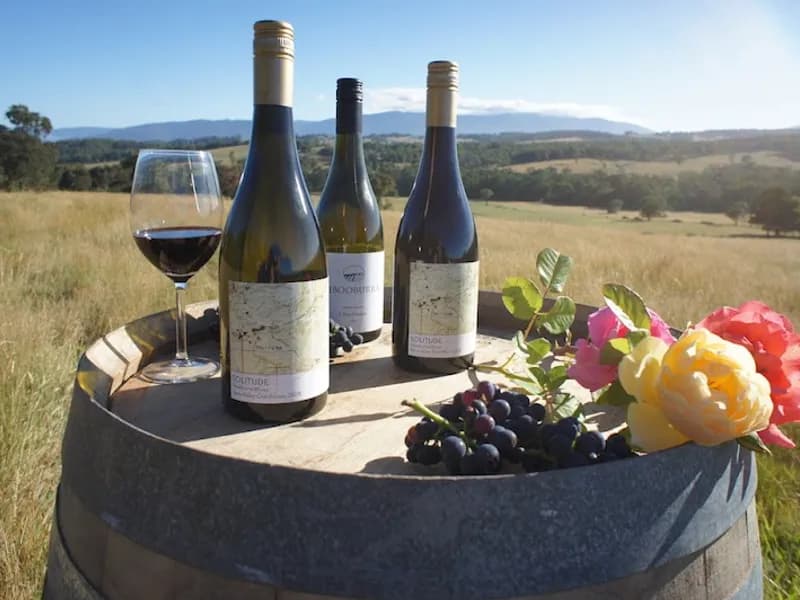 Valley View Vineyard winery in Coldstream, VIC