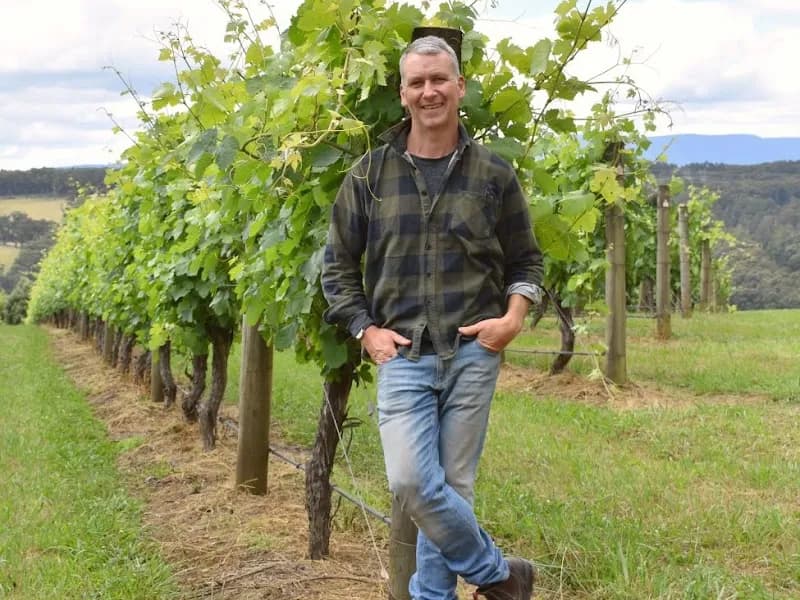 Valley View Vineyard winery in Coldstream, VIC