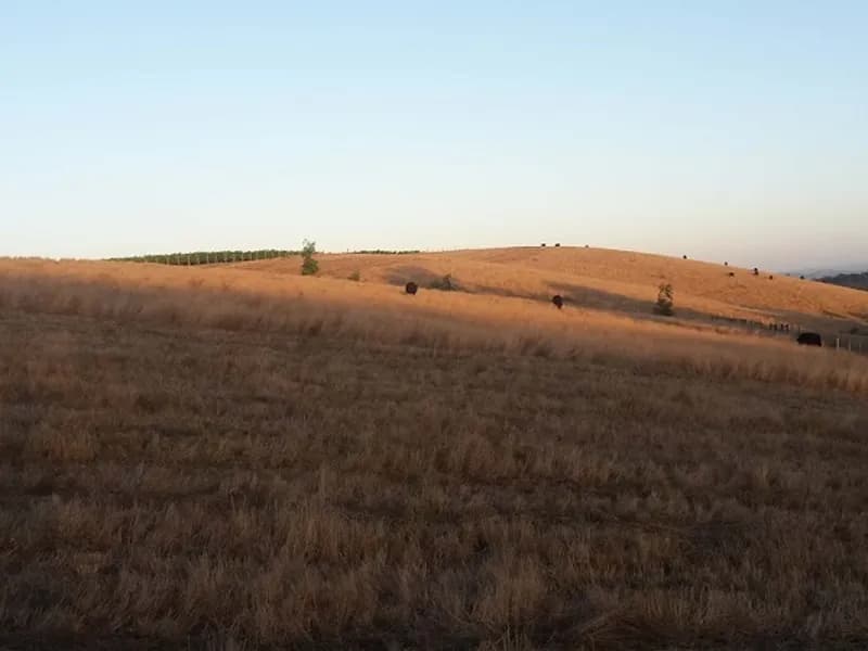 Valley View Vineyard winery in Coldstream, VIC