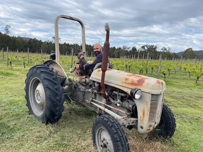 Badger’s Brook winery in Coldstream, VIC