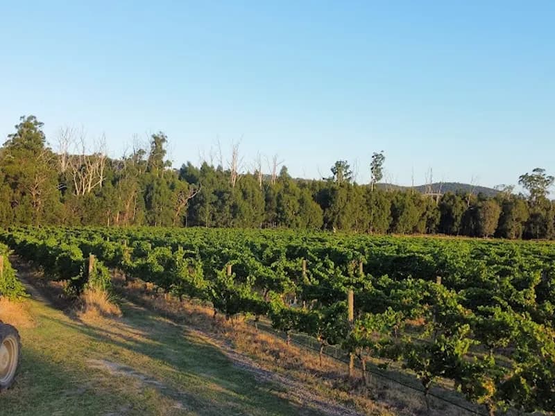 Badger’s Brook winery in Coldstream, VIC