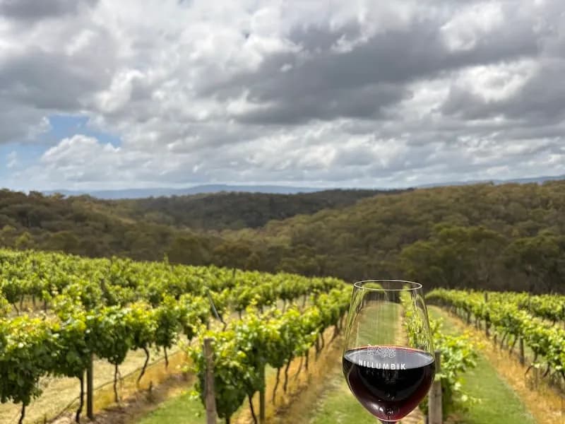 Metier Wines winery in 440 Healesville Road, VIC