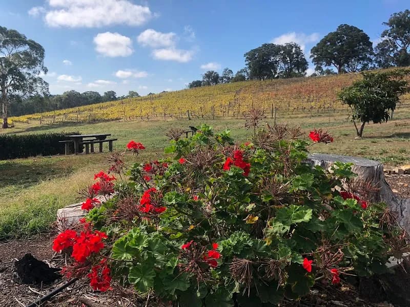 Yering Farm winery in Yering, VIC