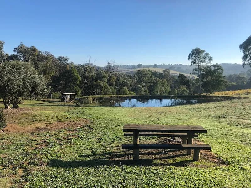 Yering Farm winery in Yering, VIC
