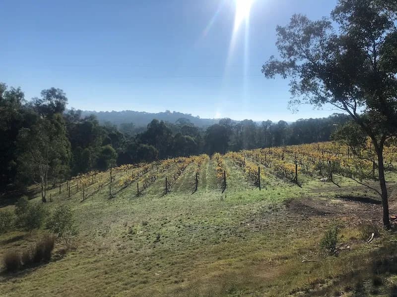 Yering Farm winery in Yering, VIC