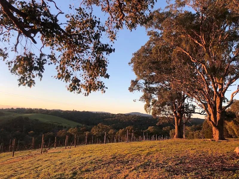 Yering Farm winery in Yering, VIC