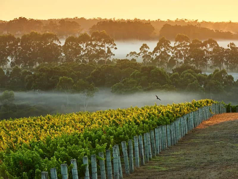 Cape Mentelle winery in Margaret River, WA