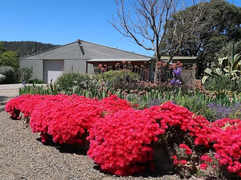 Yarra Park Vineyard winery in Yering, VIC