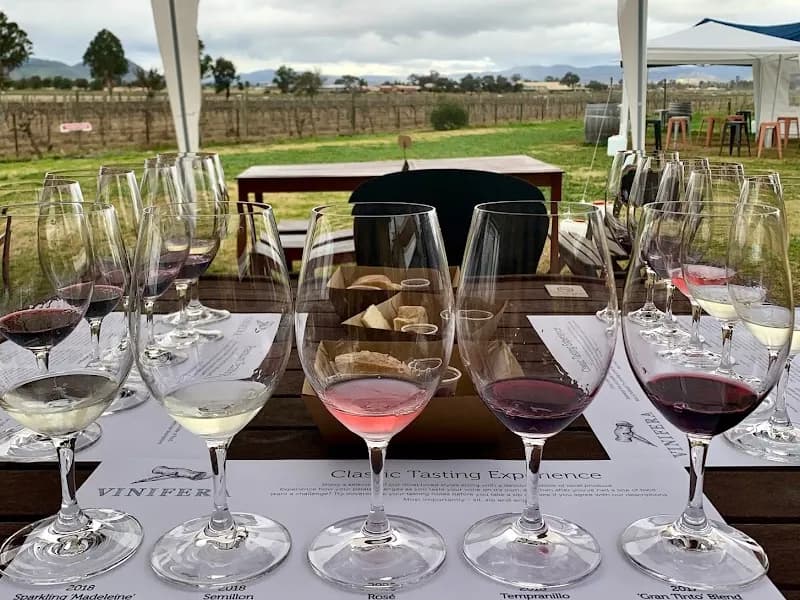 Trellis winery in Healesville, VIC