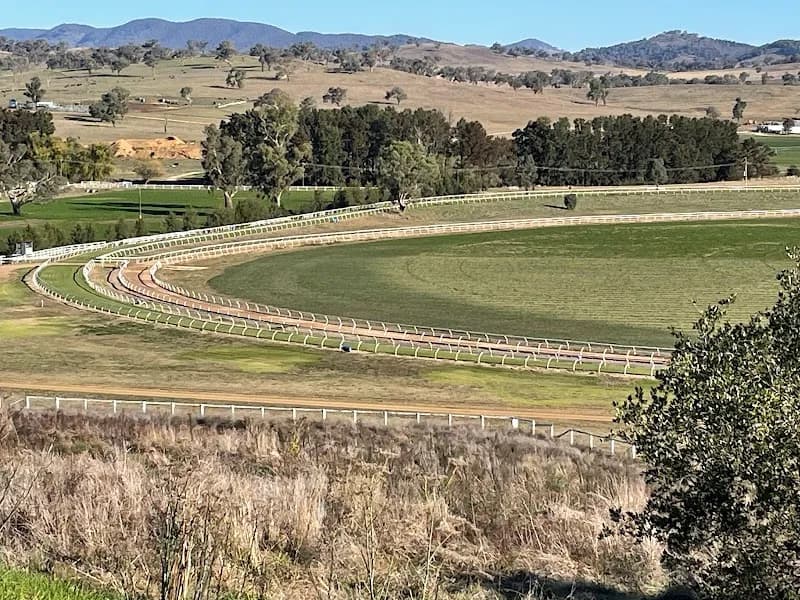 Calulu Park Vineyard winery in Woori Yallock, VIC