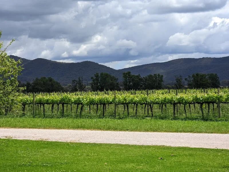 Tarrahill. winery in Yarra Glen, VIC