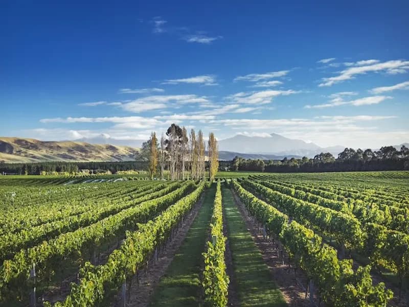 High Valley Wines winery in Mudgee, NSW