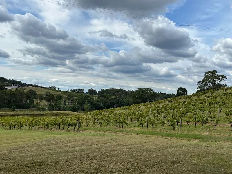 Shawwood Estate winery in Mudgee, NSW
