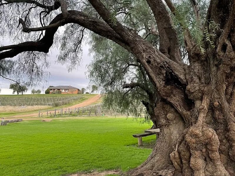 Skimstone winery in Apple Tree Flat, NSW