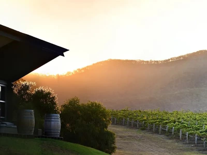 Burrundulla Vineyards winery in Mudgee, NSW