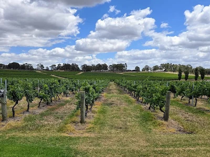 Martins Hill Wines winery in Mudgee, NSW
