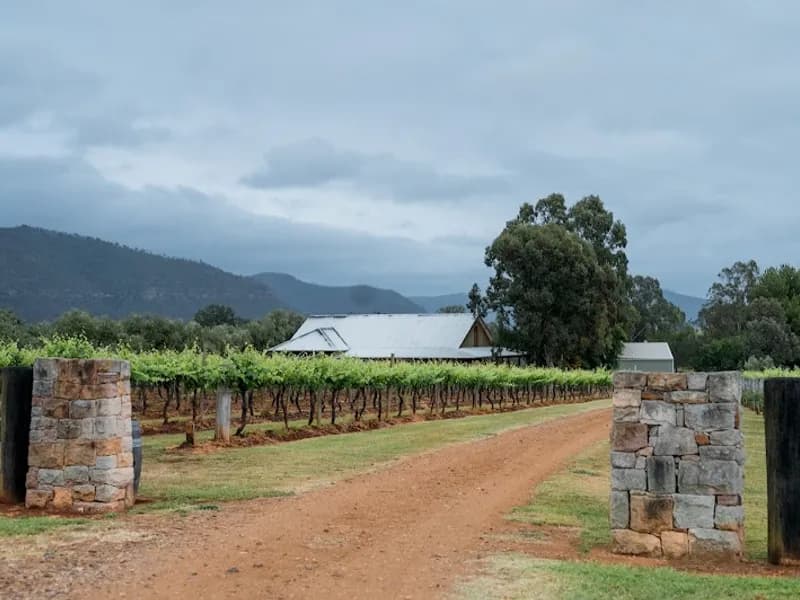Moothi Estate winery in Mudgee, NSW